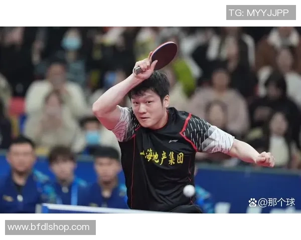 北京乒乓球队迎来节奏变革引发热议新策略助力竞技水平提升